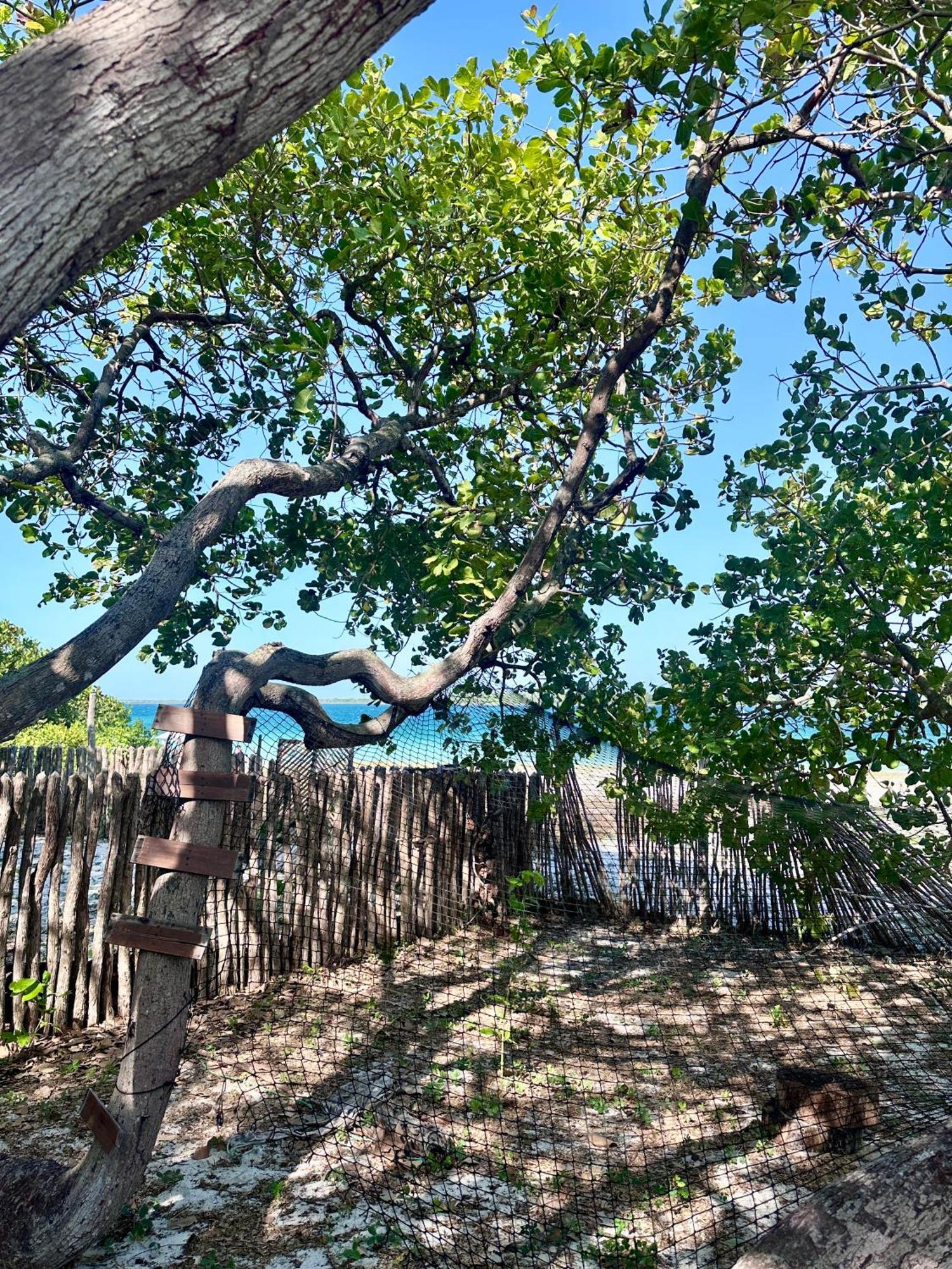 ジジョーカ・デ・ジェリコアコアラ Manay Lagoa Do Paraiso, Casa 2 Quartos Na Beira Da Lagoaヴィラ エクステリア 写真